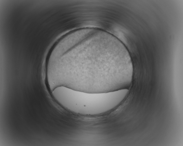 X0000088461132200706191324