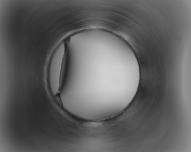 X0000088461134200706191324