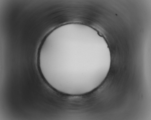 X0000088461135200706191324