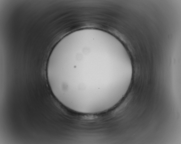 X0000088461137200706191324