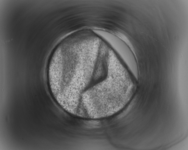 X0000088461141200706191324