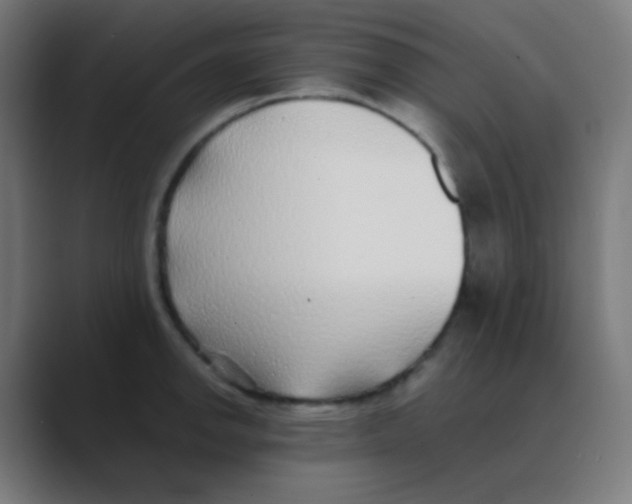 X0000088461142200706191324