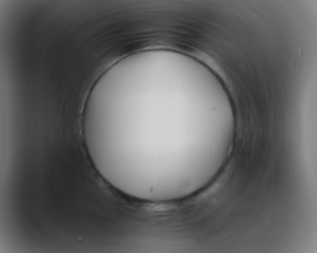 X0000088461145200706191324