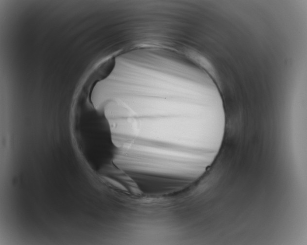 X0000088461146200706191324