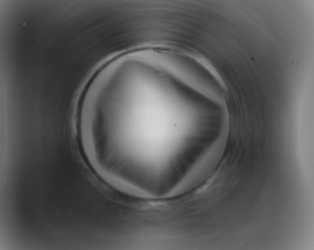 X0000088461148200706191324