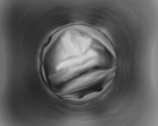 X0000088461151200706191324