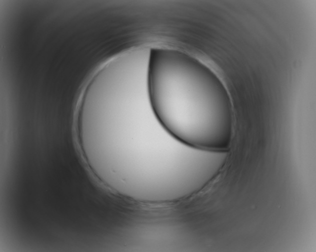 X0000088461152200706191324