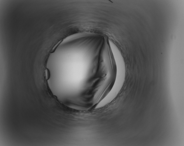 X0000088461153200706191324