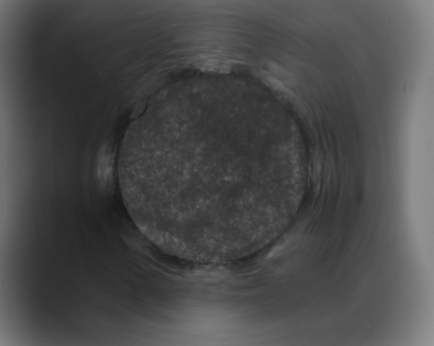 X0000088461154200706191324