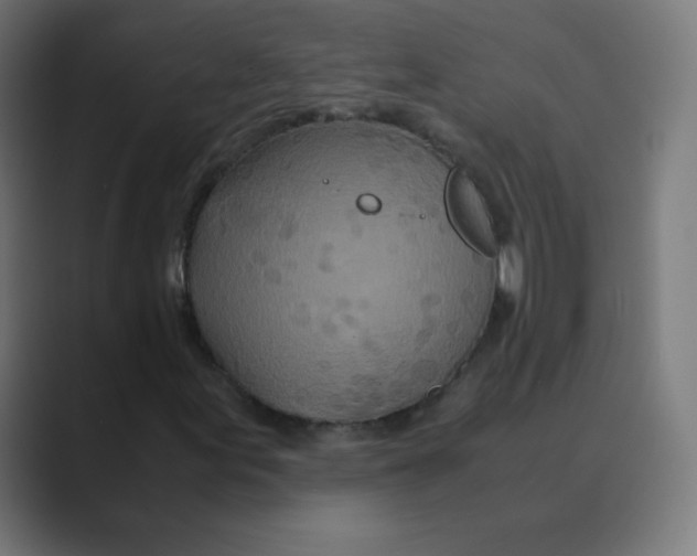 X0000088461155200706191324