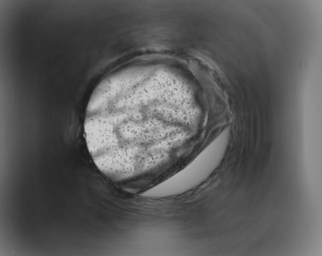 X0000088461160200706191324