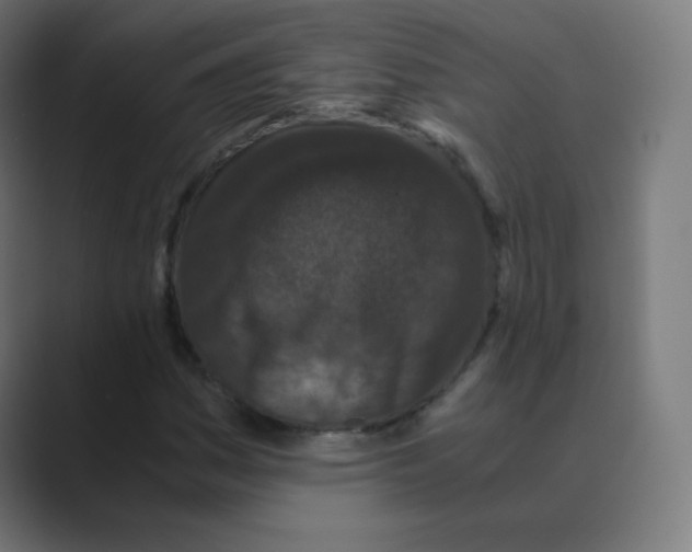 X0000088461161200706191324