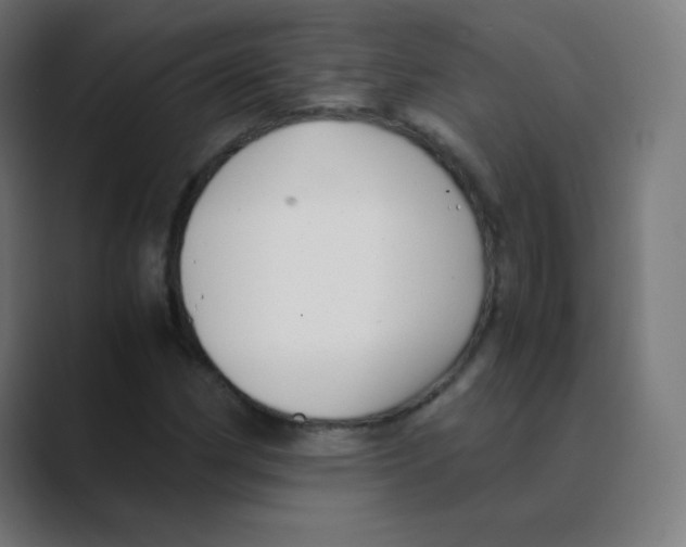 X0000088461162200706191324