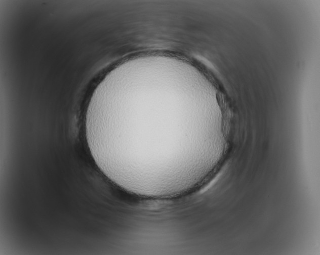 X0000088461163200706191324