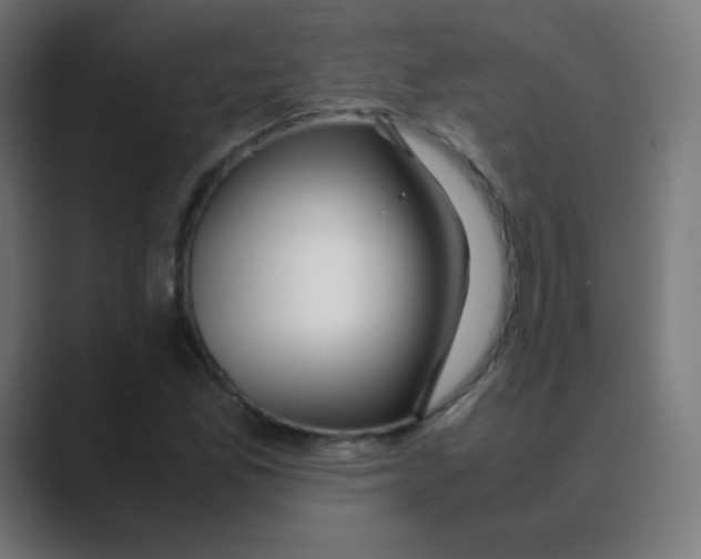 X0000088461165200706191324