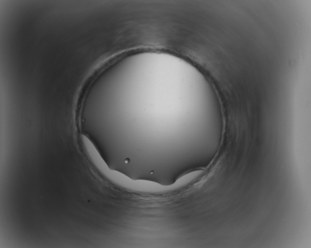 X0000088461168200706191324