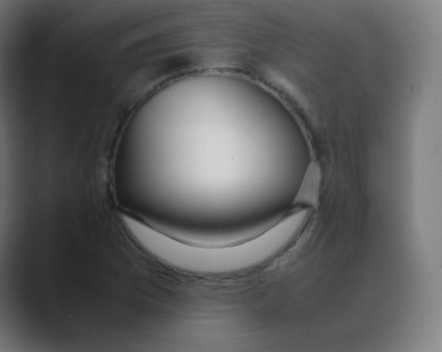 X0000088461169200706191324