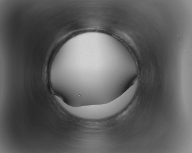 X0000088461172200706191324