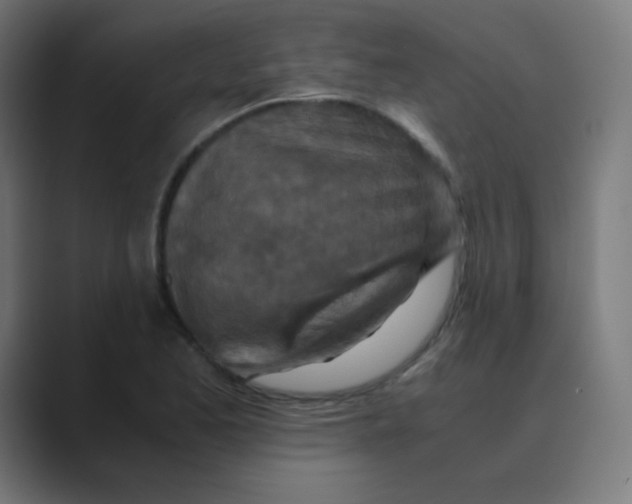 X0000088461173200706191324