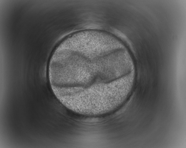 X0000088461174200706191324