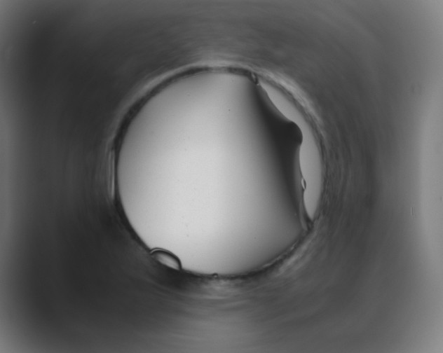 X0000088461175200706191324