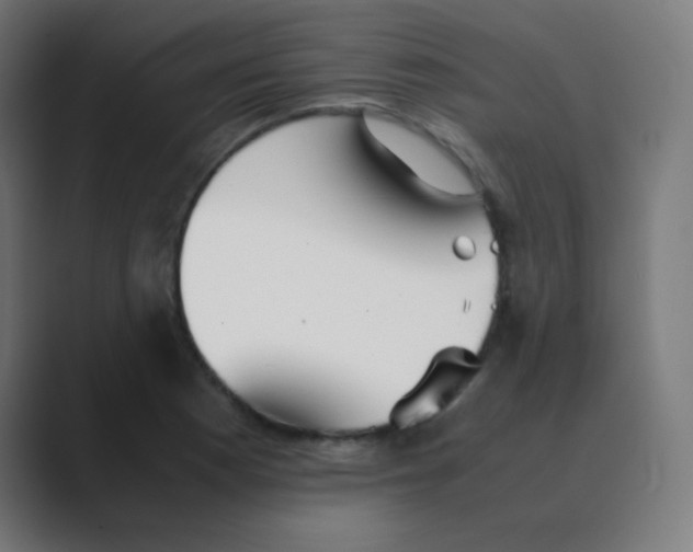 X0000088461177200706191324