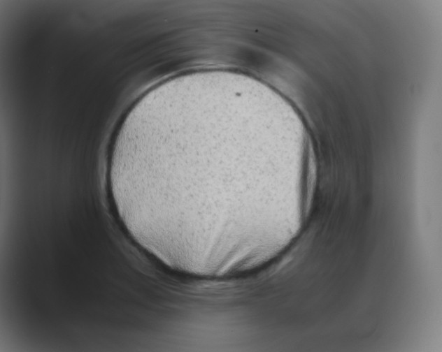 X0000088461179200706191324