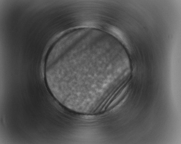 X0000088461180200706191324