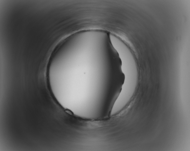 X0000088461181200706191324