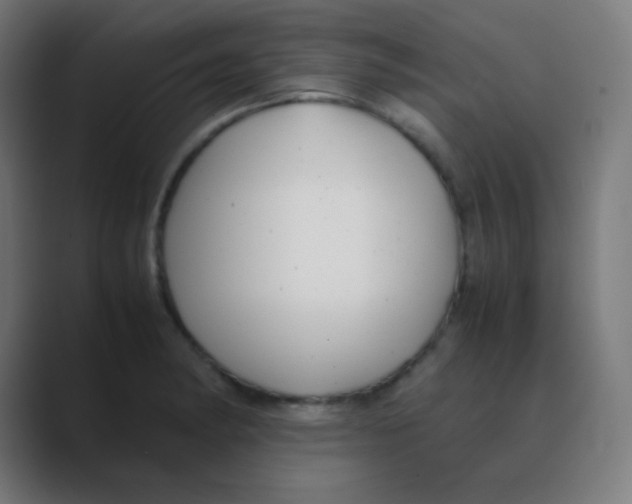 X0000088461182200706191324