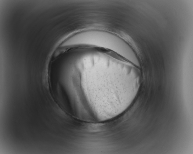 X0000088461184200706191323