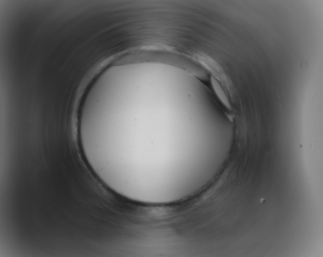 X0000088461188200706191323