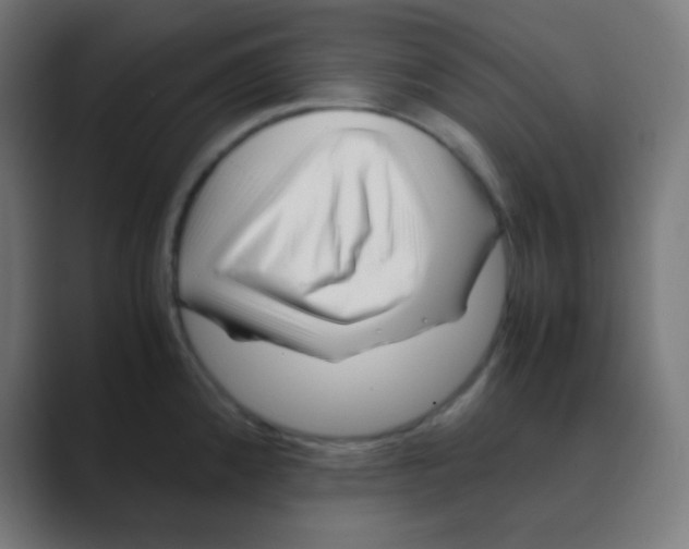 X0000088461192200706191323