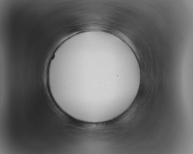 X0000088461195200706191323