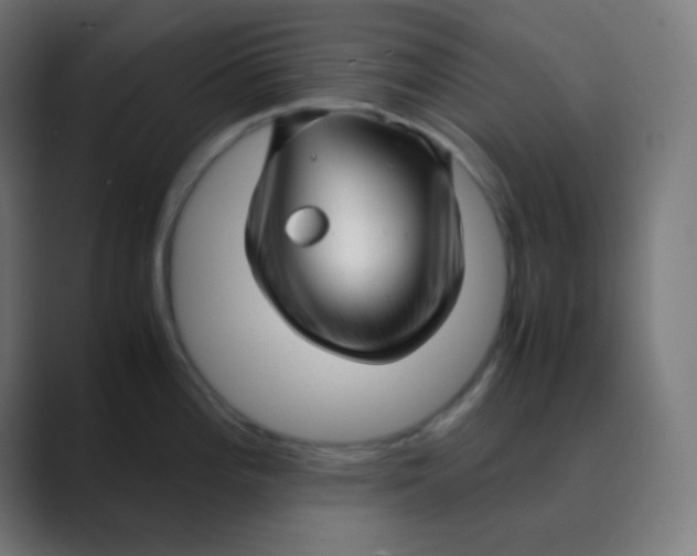 X0000088461196200706191323