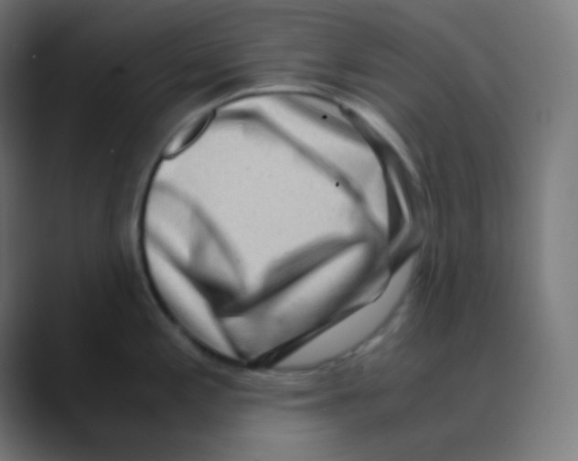 X0000088461197200706191323