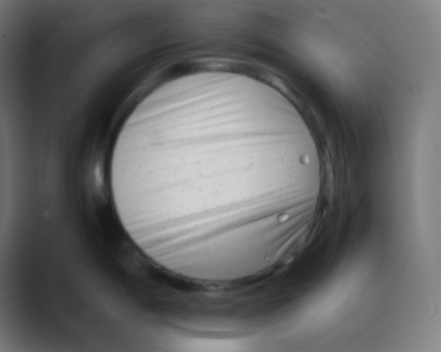 X0000088461198200706191323