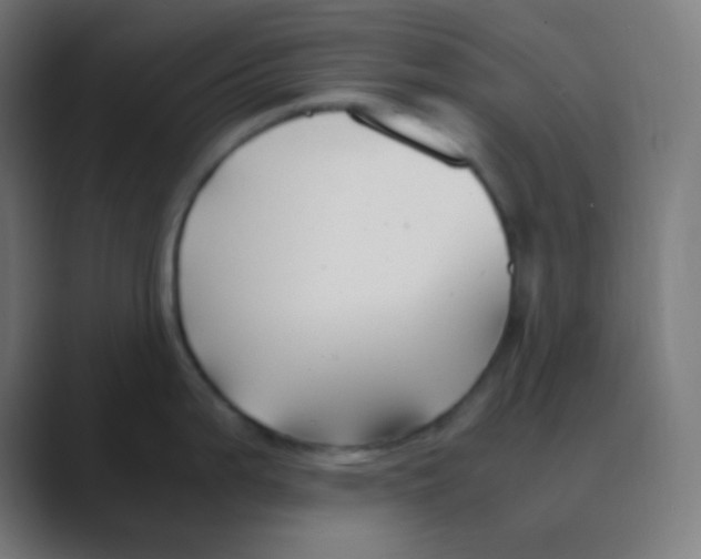 X0000088461199200706191323