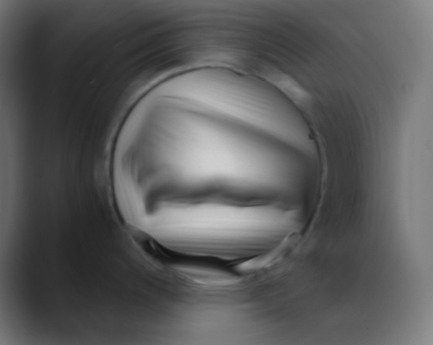 X0000088461200200706191323