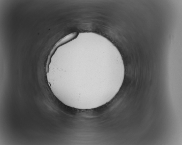 X0000088461201200706191323