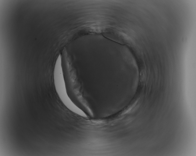 X0000088461202200706191323