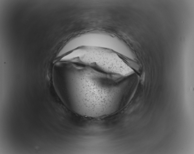 X0000088461206200706191323