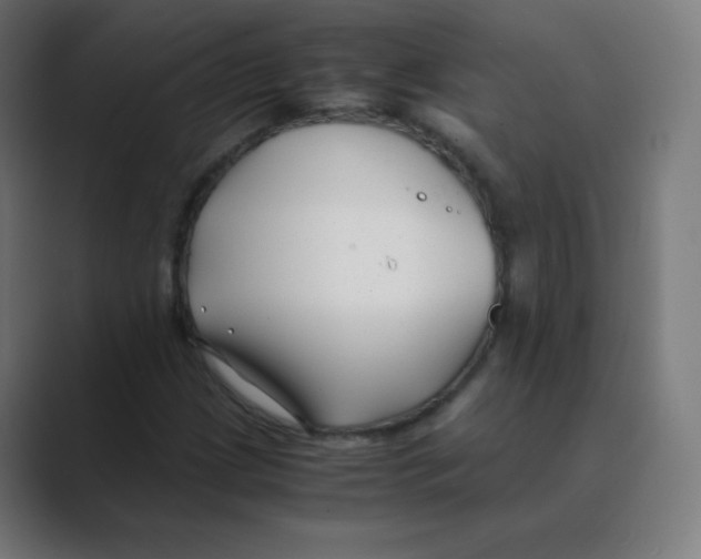 X0000088461209200706191323