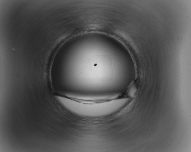 X0000088461210200706191323