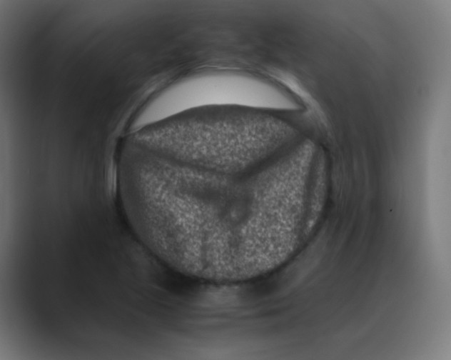 X0000088461221200706191323