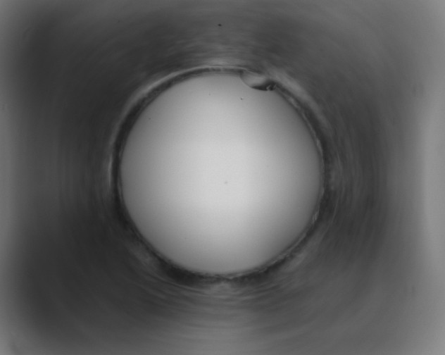 X0000088461222200706191323