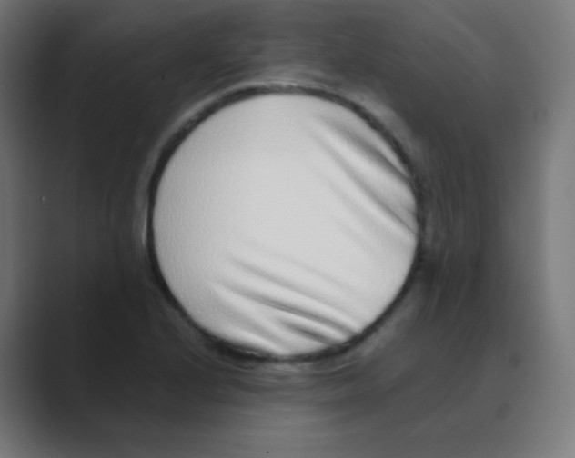 X0000088461224200706191323