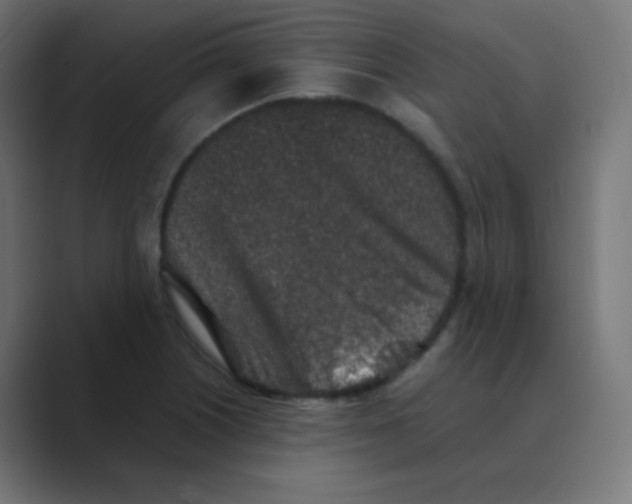 X0000088461226200706191323