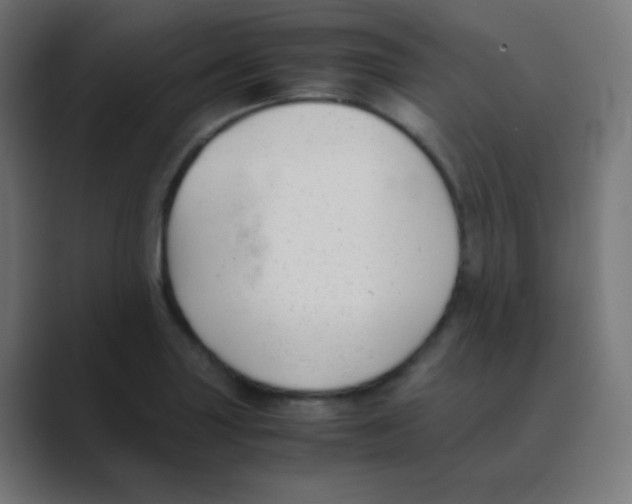 X0000088461227200706191323