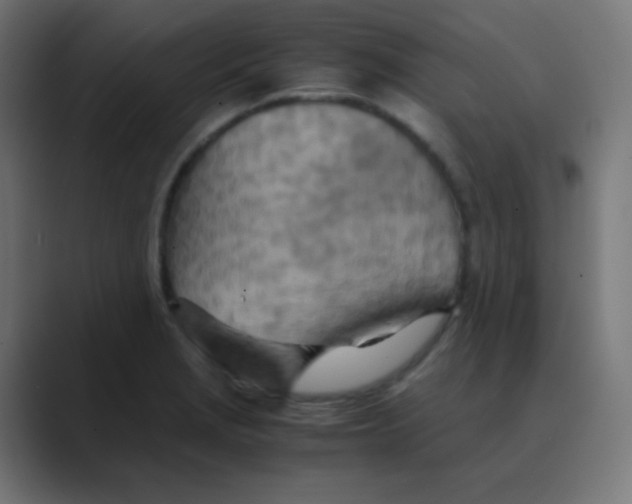 X0000088461229200706191323